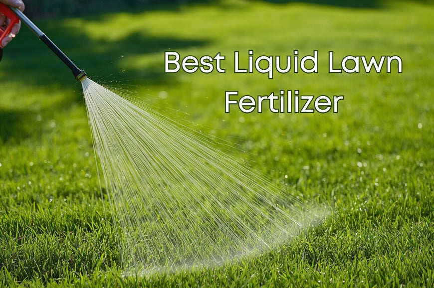 Best Liquid Lawn Fertilizer