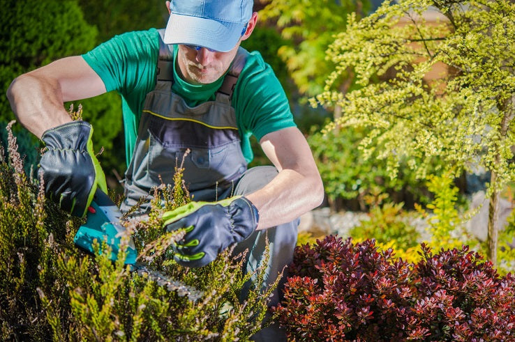 Gardening Gift Ideas for Dad