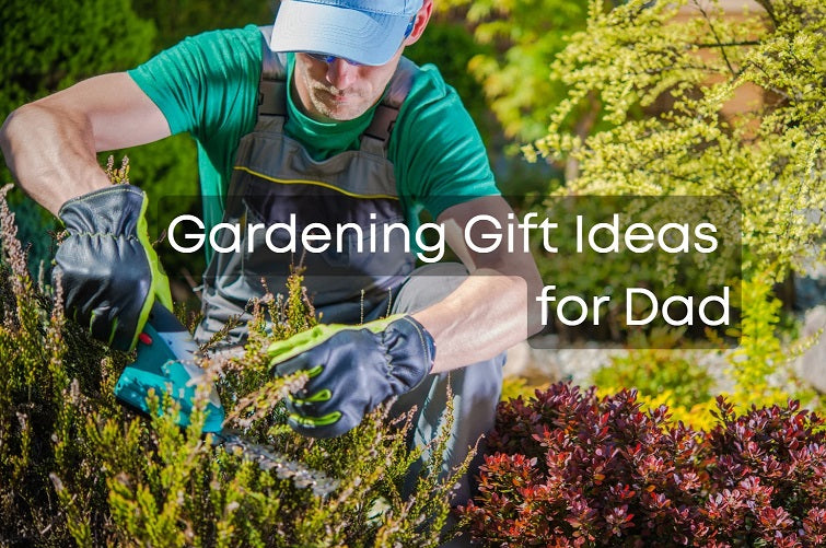 Gardening Gift Ideas for Dad