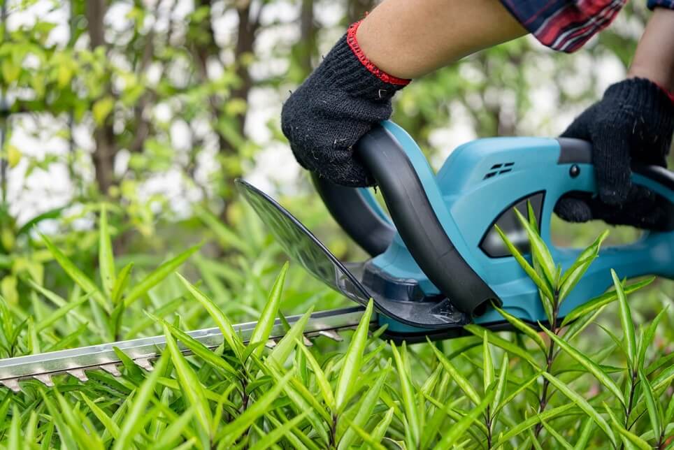 Cut Grass Without a Lawnmower