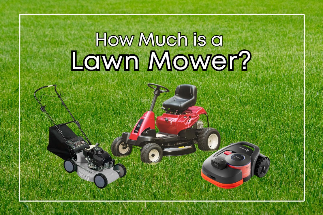 Segway Navimow robot, riding, and push lawn mowers on grass