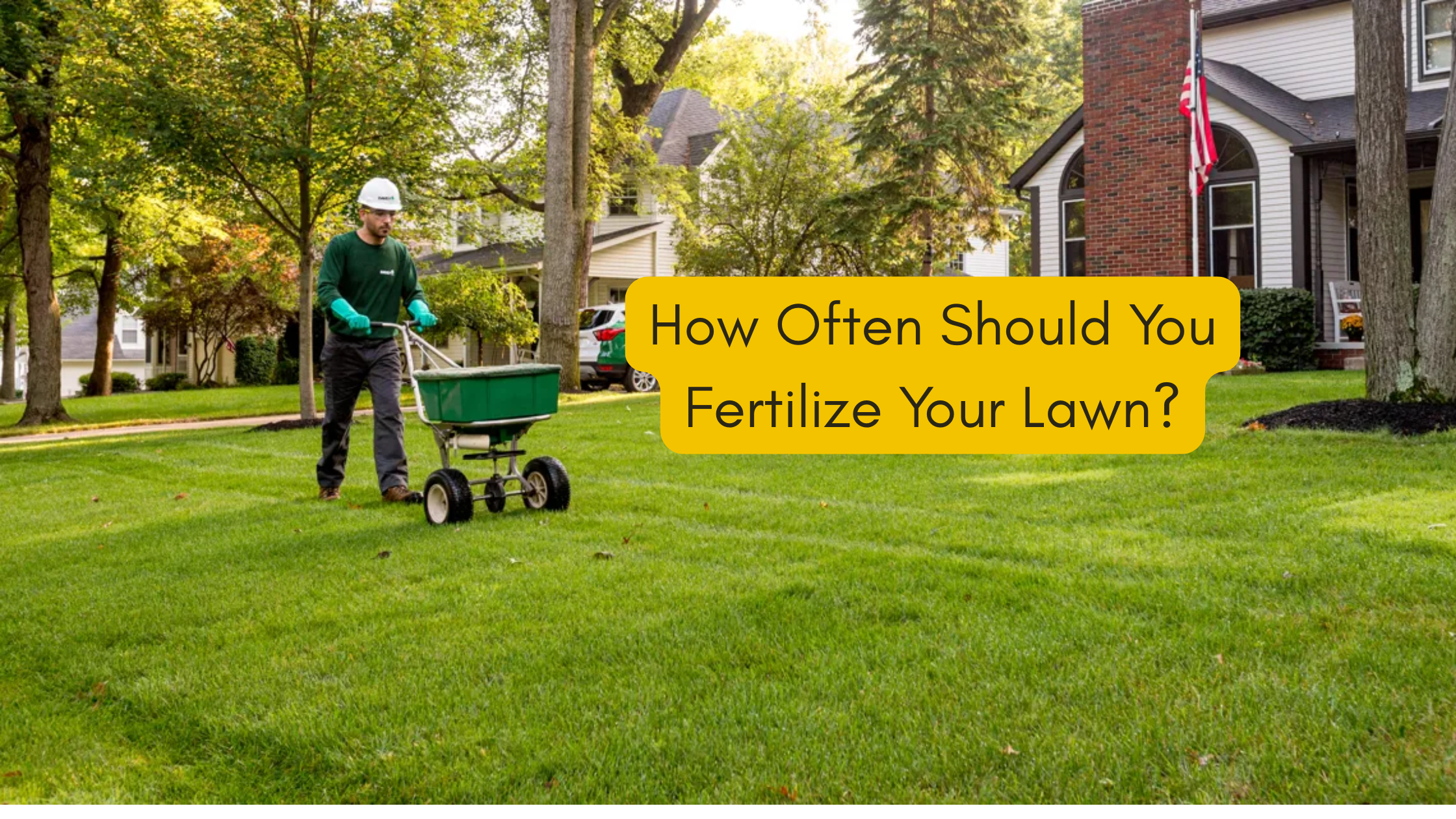 How Often Should You Fertilize Your Lawn