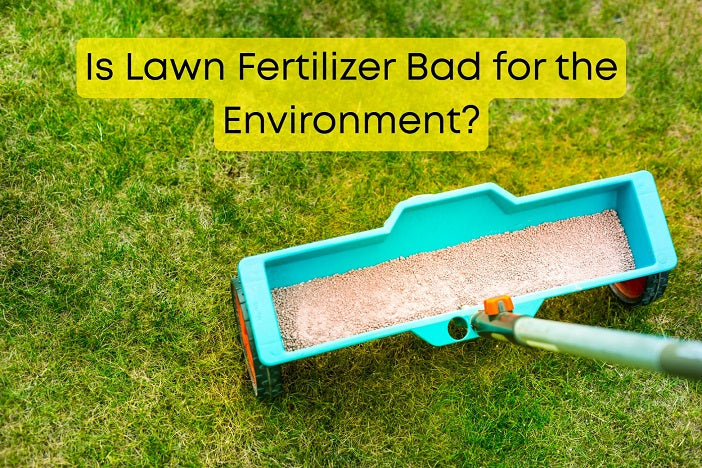 Is Lawn Fertilizer Bad for the Environment?