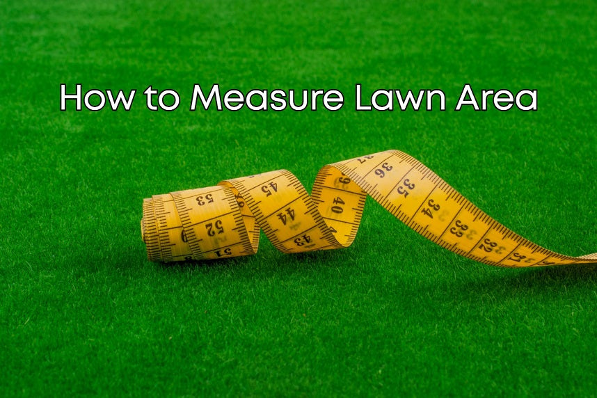 Measure Lawn Area