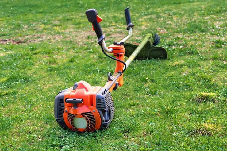 Cutting Grass in Winter