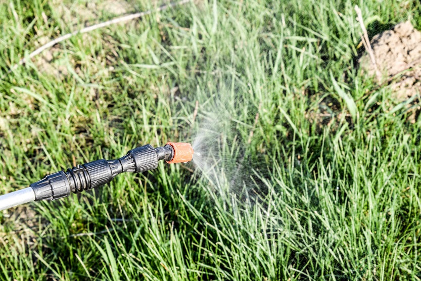 Best Liquid Lawn Fertilizer