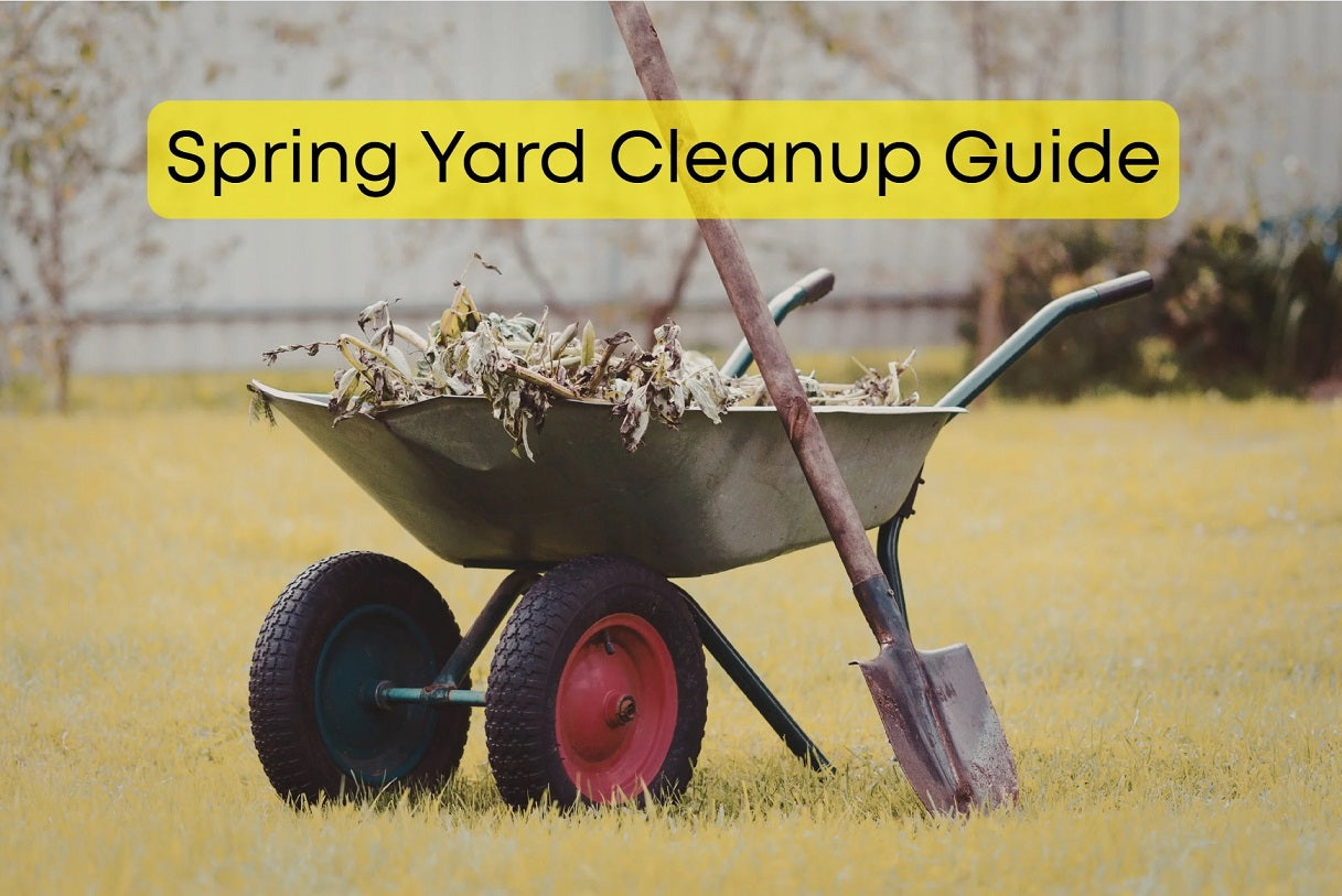 Spring Yard Cleanup Guide