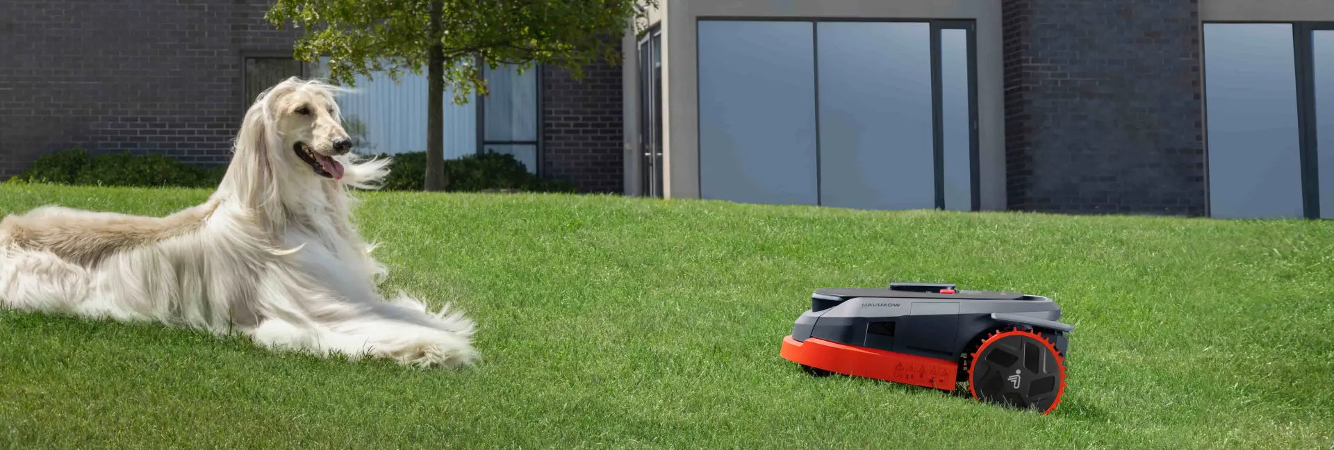 VisionFence: Transforming Robotic Mowing Through Advanced Computer Vision