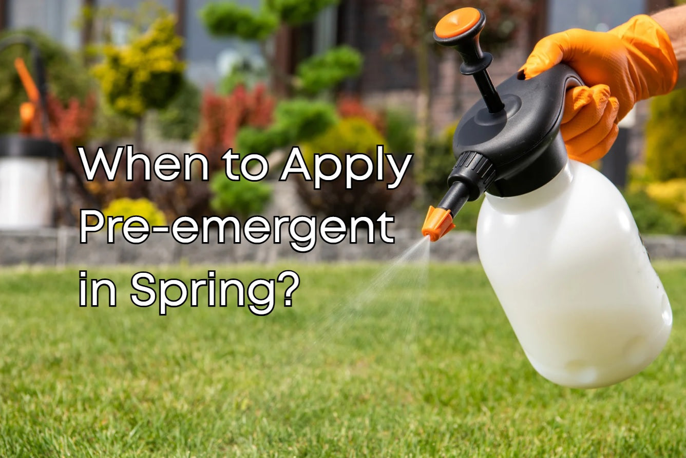When to apply pre-emergent in spring