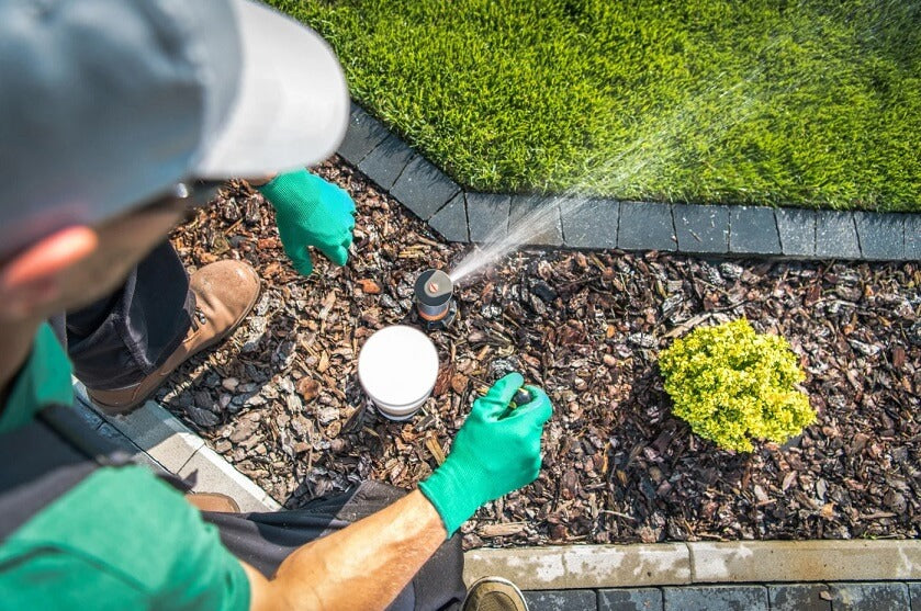 How long to water lawn