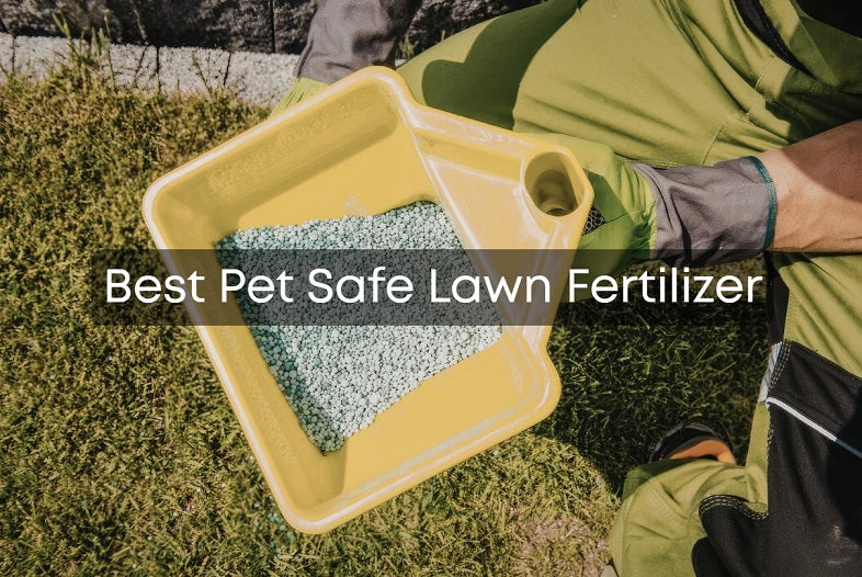 Best Pet Safe Lawn Fertilizer