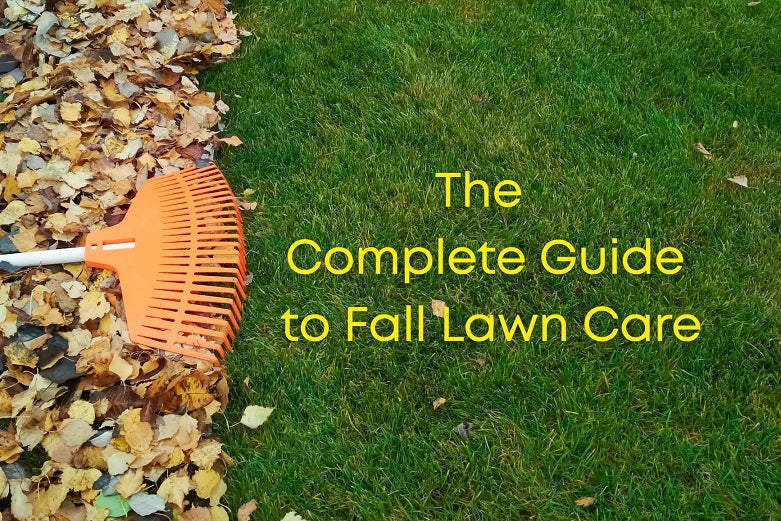 Fall Lawn Care