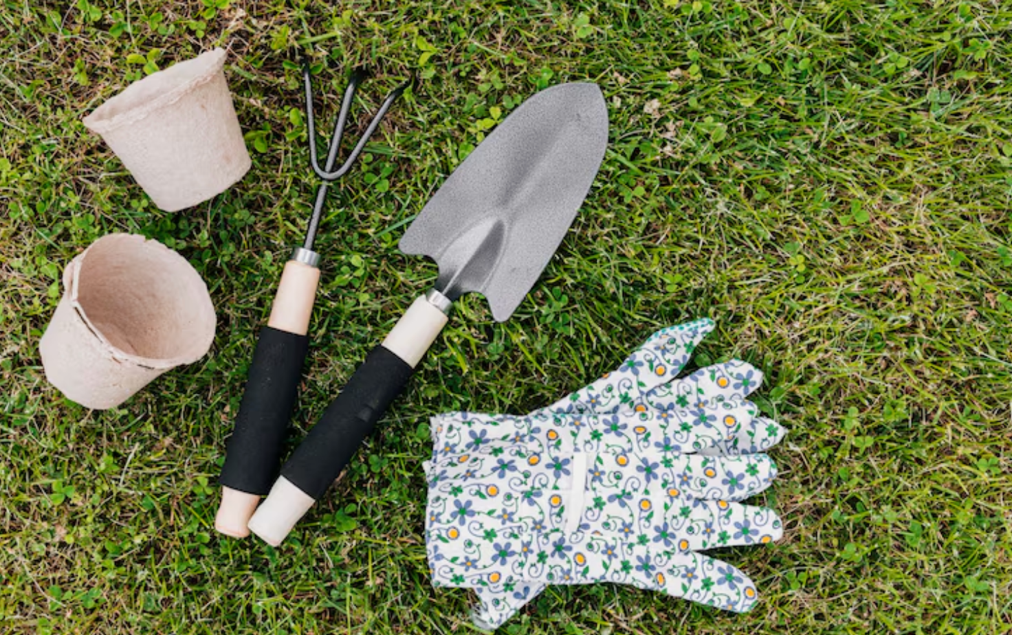 lawn care tools for beginners