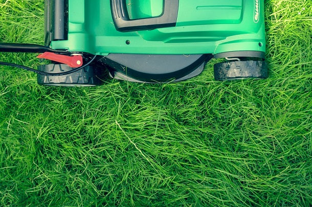 Segway Navimow robot lawn mower cutting green grass