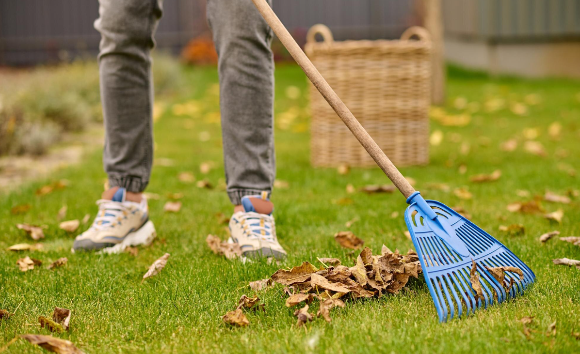 lawn care in fall