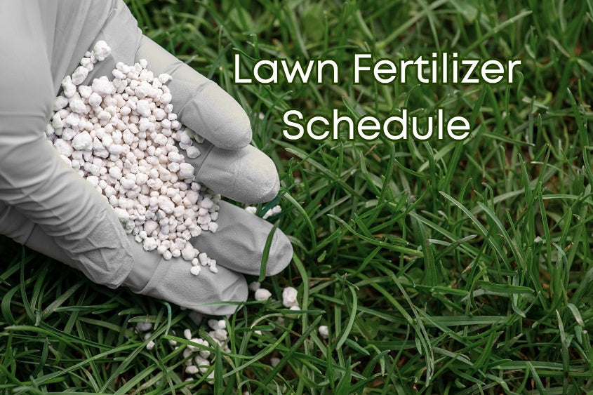 Lawn Fertilizer Schedule