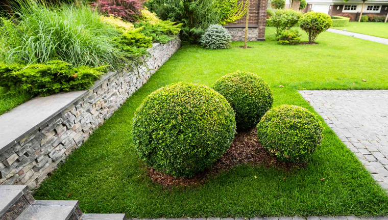 front yard landscaping ideas