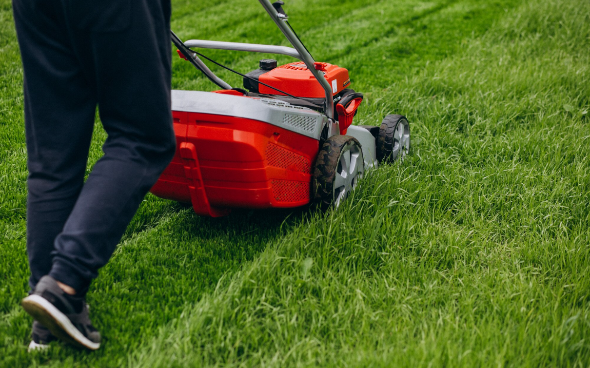 mow your lawn with pushed lawn mowers