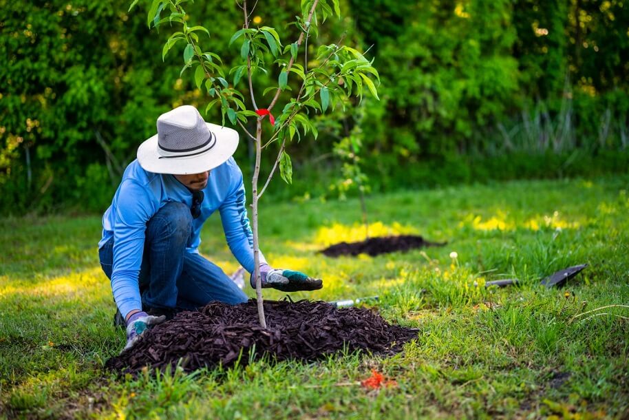 What is Mulching