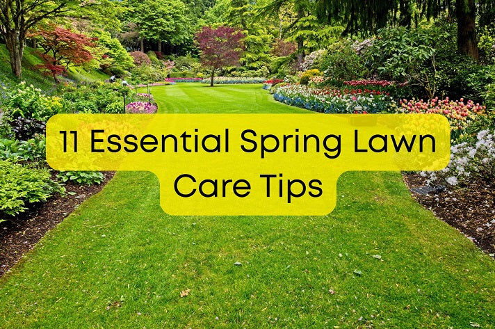 Summer Lawn Care Tips