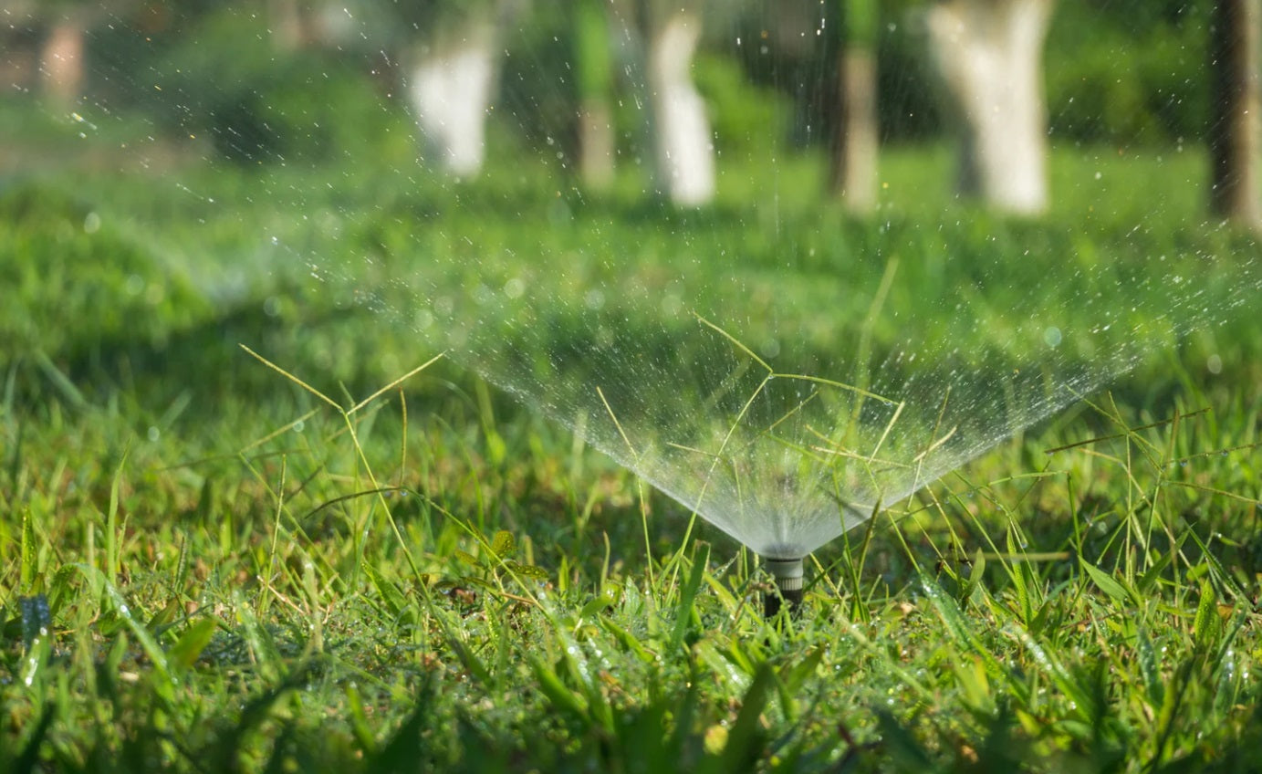 lawn watering