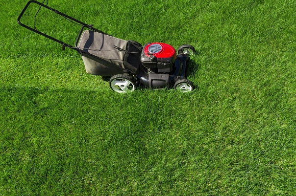 Self-Propelled vs. Push Mowers