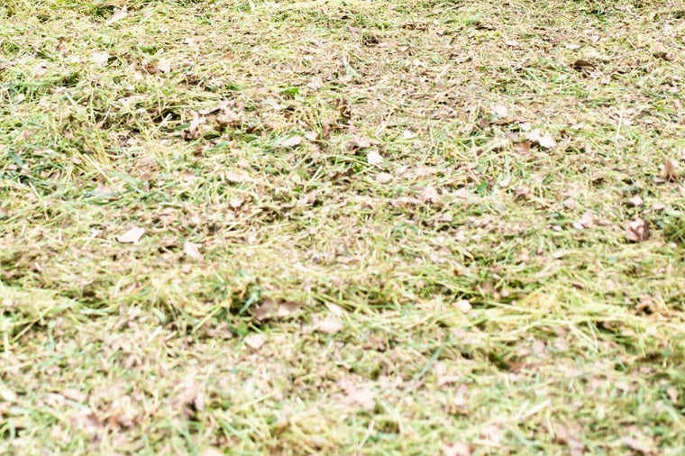 What is Lawn Scalping