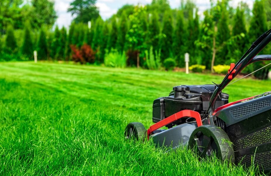 When to Start Mowing Lawn in Spring?
