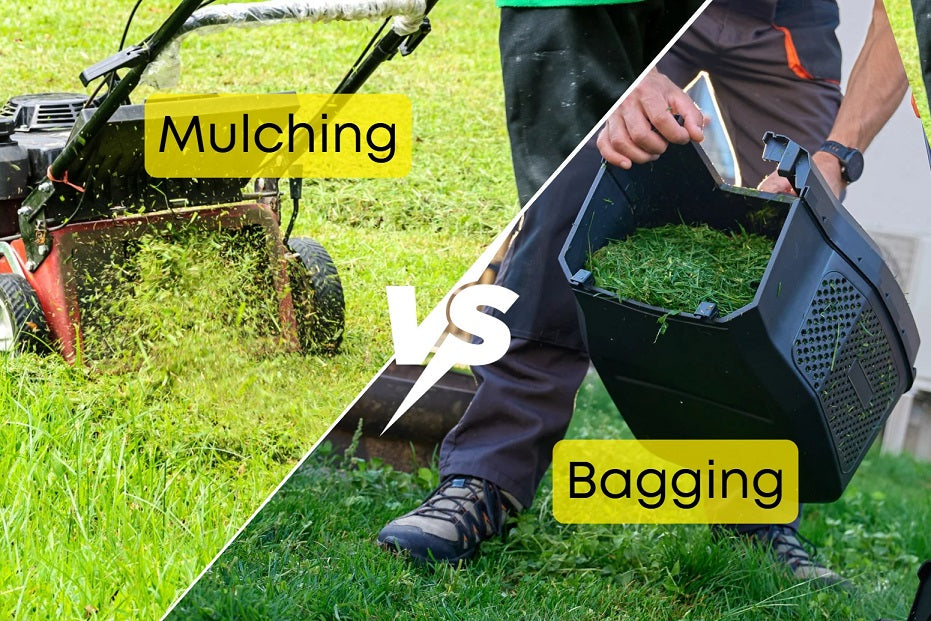 Mulching vs Bagging