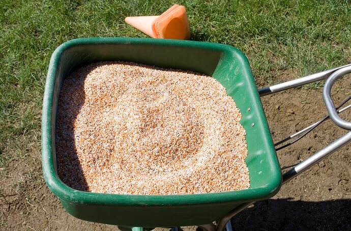 How Often Should You Fertilize Your Lawn