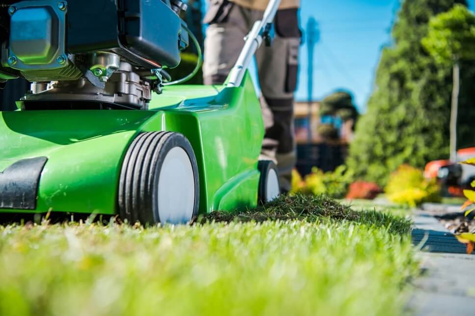 Lawn Dethatching