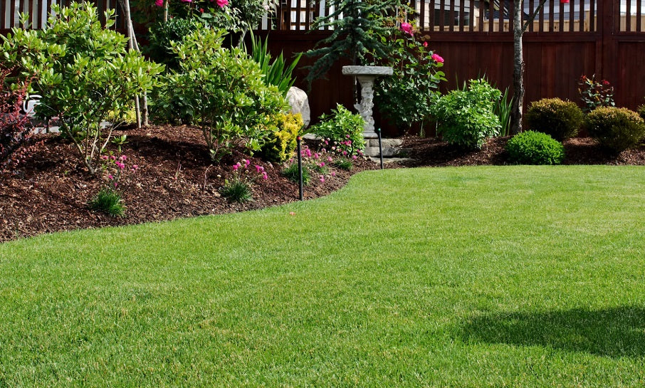 Mowing Lawn in Spring