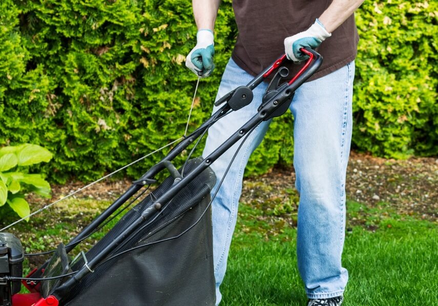 How Often Should You Mow Your Lawn?