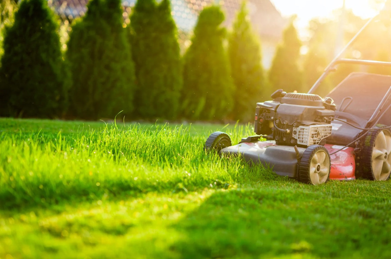 Summer Lawn Care Tips
