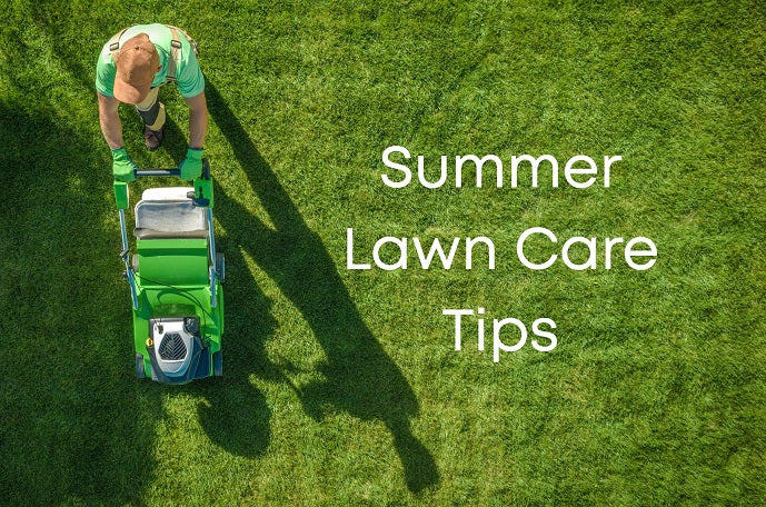 Summer lawn care tips