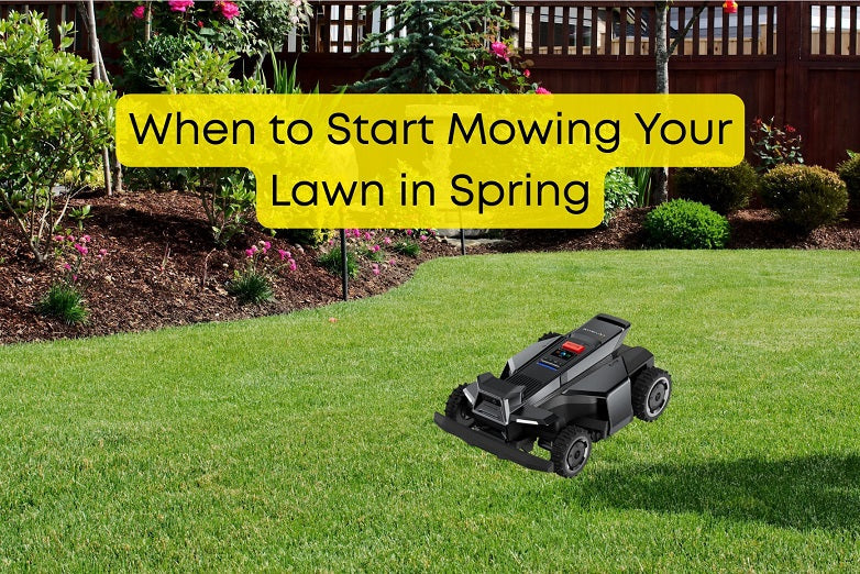 When to Start Mowing Lawn in Spring?