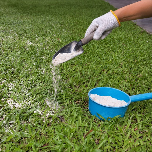 What Does the Lime Do to the Soil?