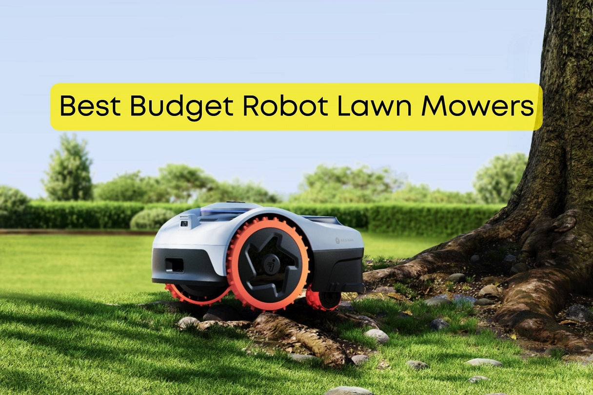 Best Budget Robot Lawn Mowers