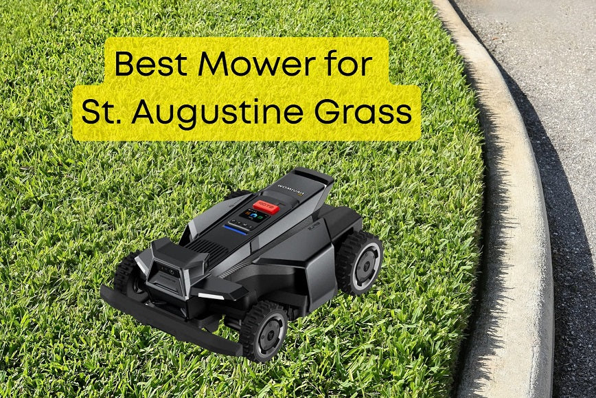Best Mower for St. Augustine Grass