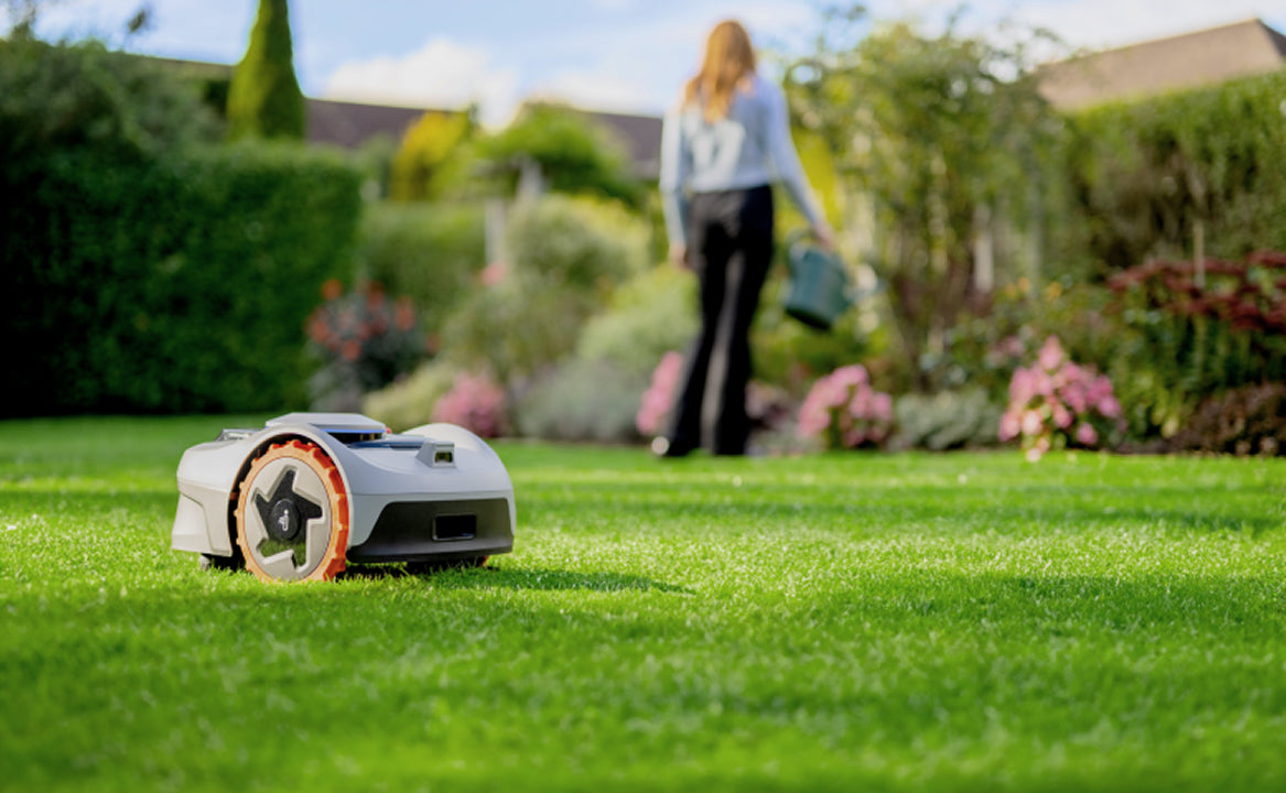 1/3 rule with robot lawn mower