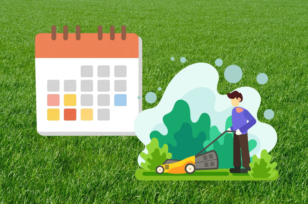 Lawn Care Calendar