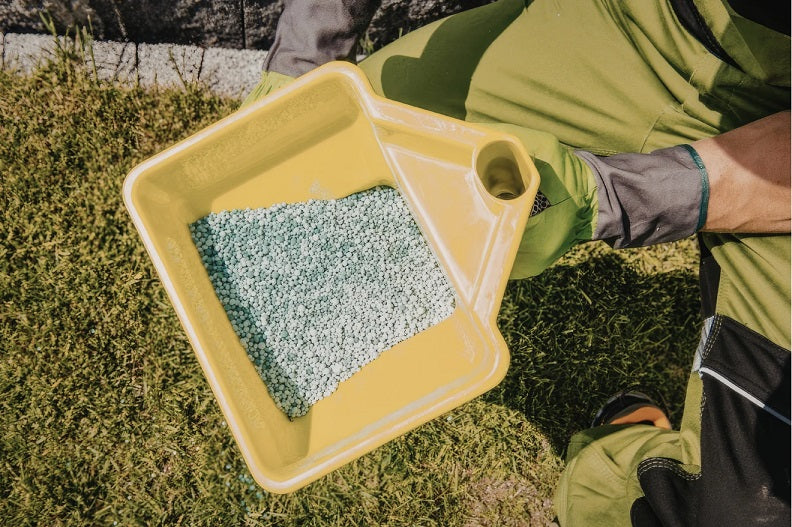 Can I Fertilize My Lawn in Summer?