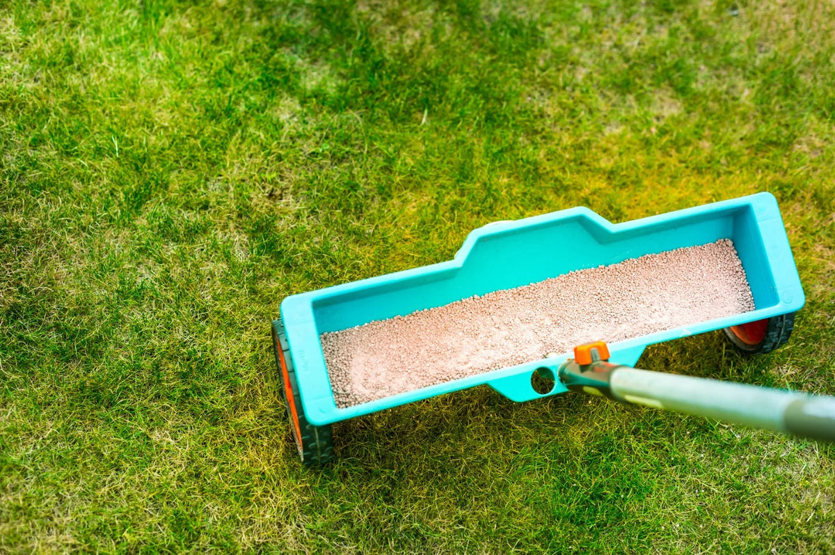 Is Lawn Fertilizer Bad for the Environment?