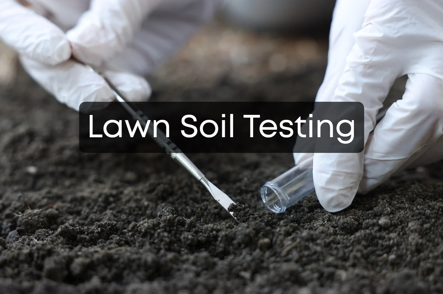 Lawn soil testing