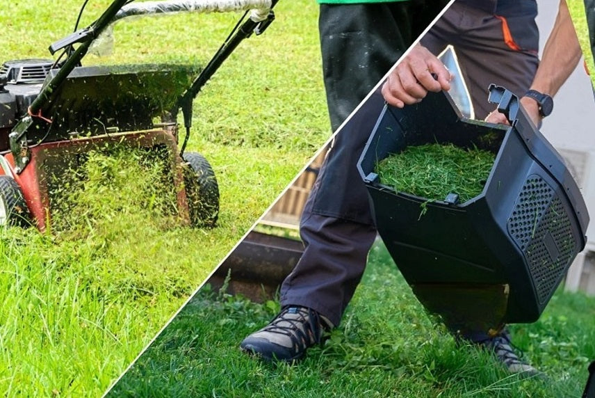 Mulching vs Bagging: Which One to Choose?