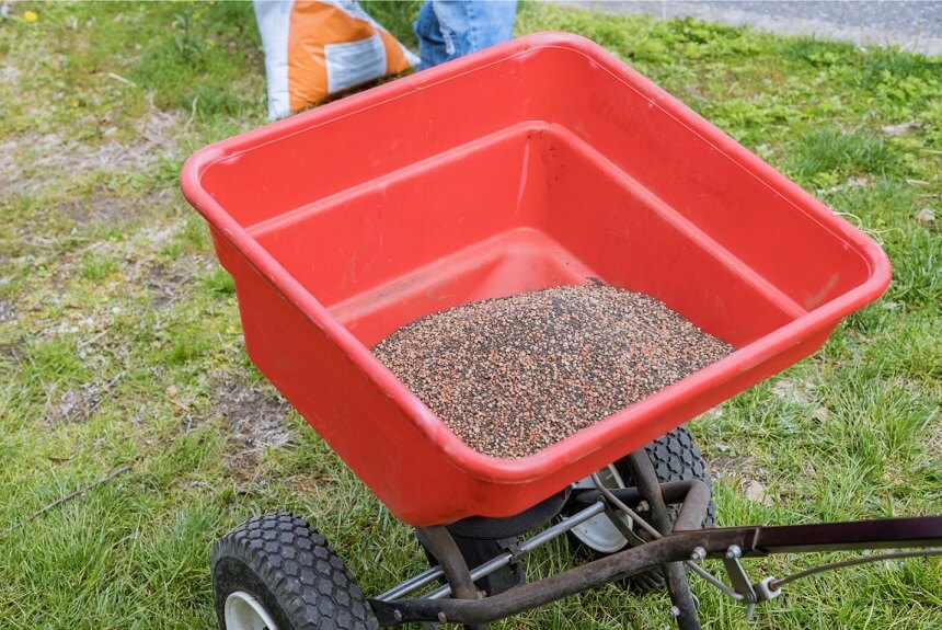 How to Reseed a Lawn?