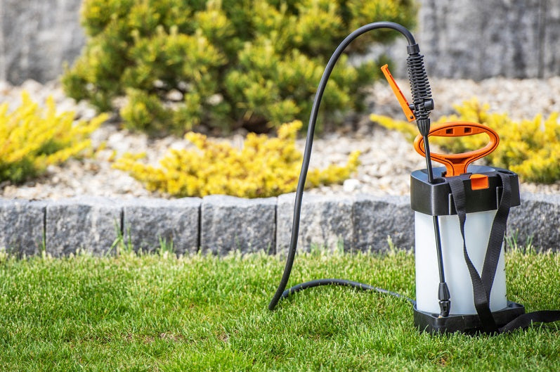 When to Apply Pre-emergent in Spring?