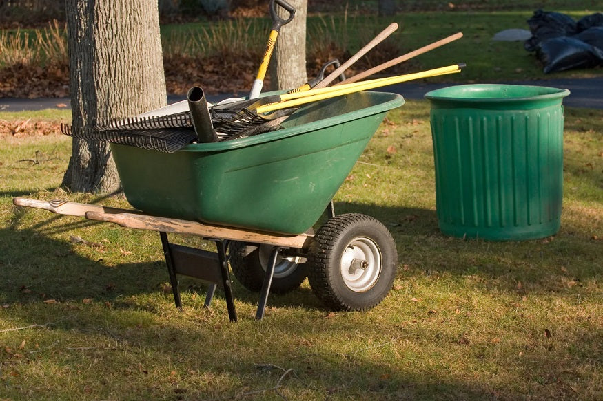 Spring Yard Cleanup Guide