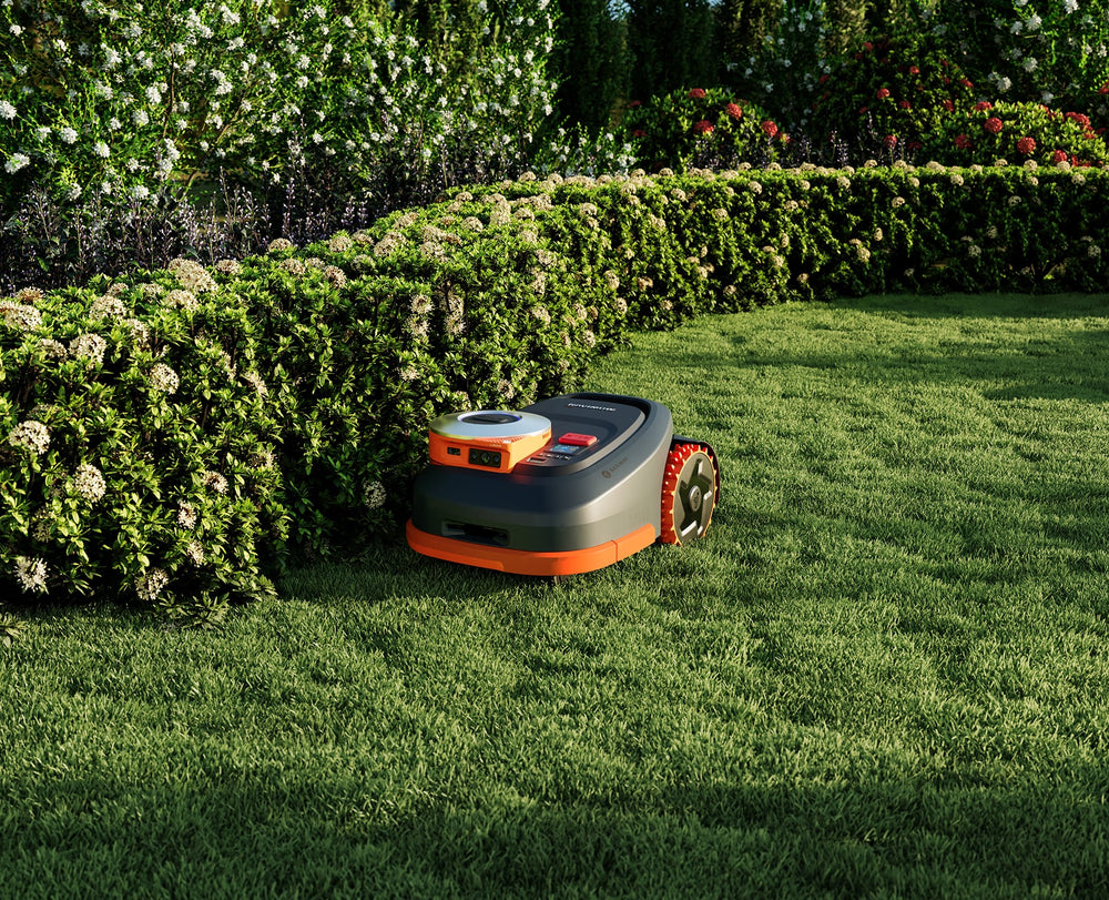 Segway Navimow H2 robot lawn mower mows the green lawn.