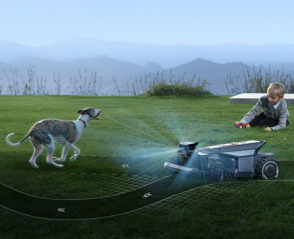 Navimow i105E robot lawn mower detects a dog and boy.